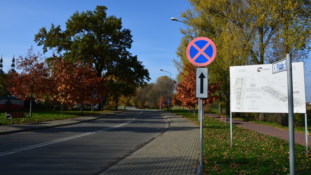 Sytuacja drogowa do pytania: Czy osoba niepełnosprawna kierująca samochodem osobowym, legitymująca się kartą parkingową, może nie stosować się do widocznego znaku zakazu?