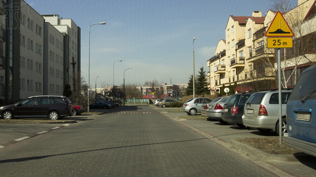 Sytuacja drogowa do pytania: Czy w przedstawionej sytuacji jesteś ostrzegany o wypukłości na jezdni zastosowanej w celu spowolnienia ruchu?